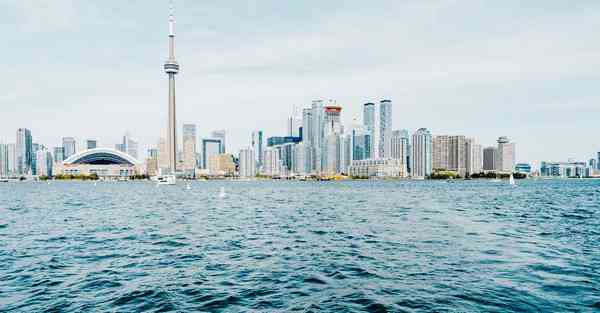 外国语单招大数据的行业文章