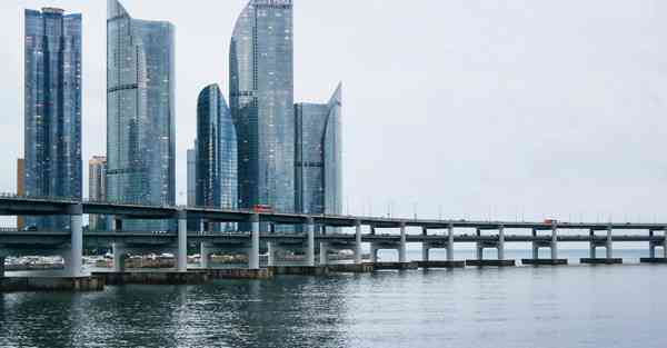 枢合AI智能小派（枢合AI智能小派多少钱）