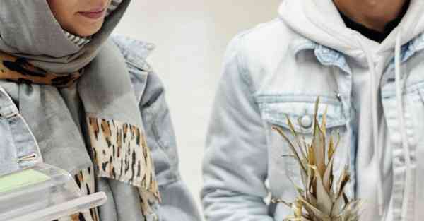 智能机器人的主要应用领域包括