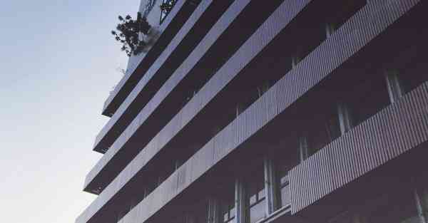 AI微球蛋白偏低（A1微球蛋白高是怎么回事）