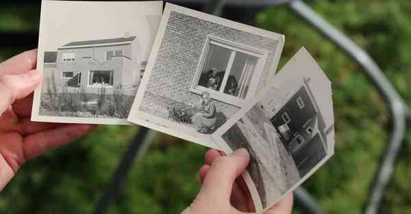 大数据影视软件