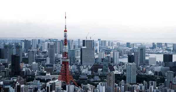 云创智能AI机器人价格