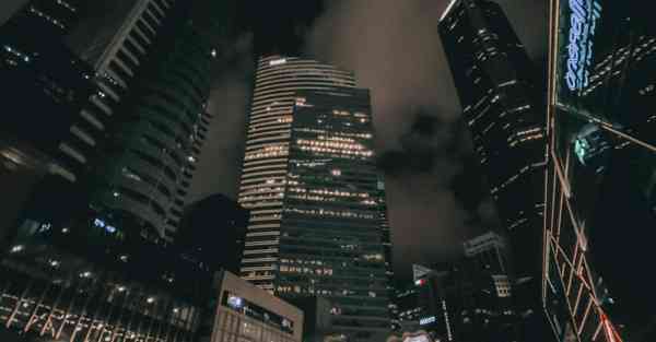 外国语单招大数据的行业文章