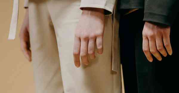 全自动智能宠物机器人 宠物机器人COZMO