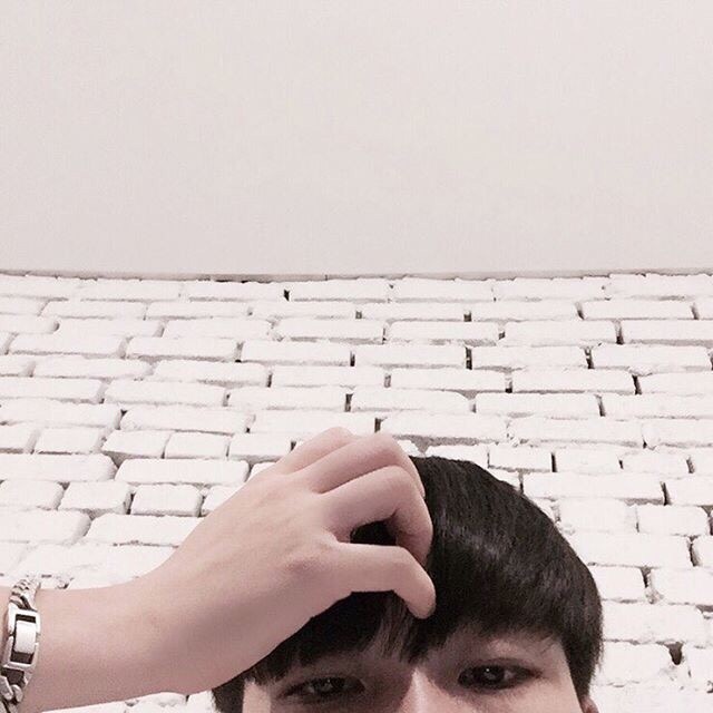 房灵鹏宗