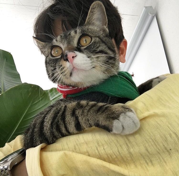 宰秀富萍