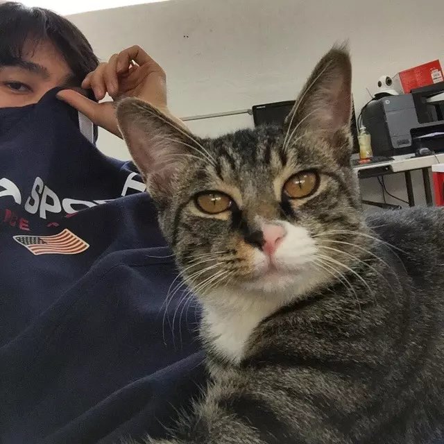 汪纯松娇
