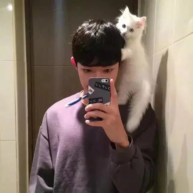 蒲力旭珍