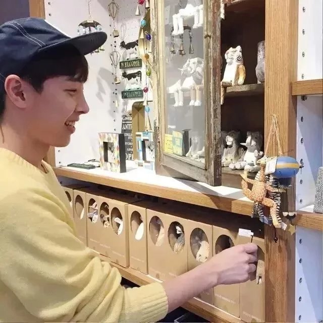 林绍君雨