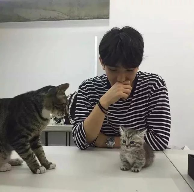 应亚贝彦